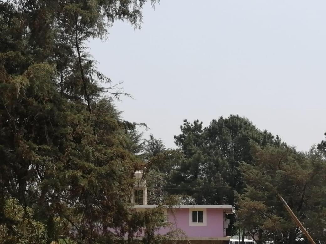 Hotel Bosques Zacatlán Εξωτερικό φωτογραφία