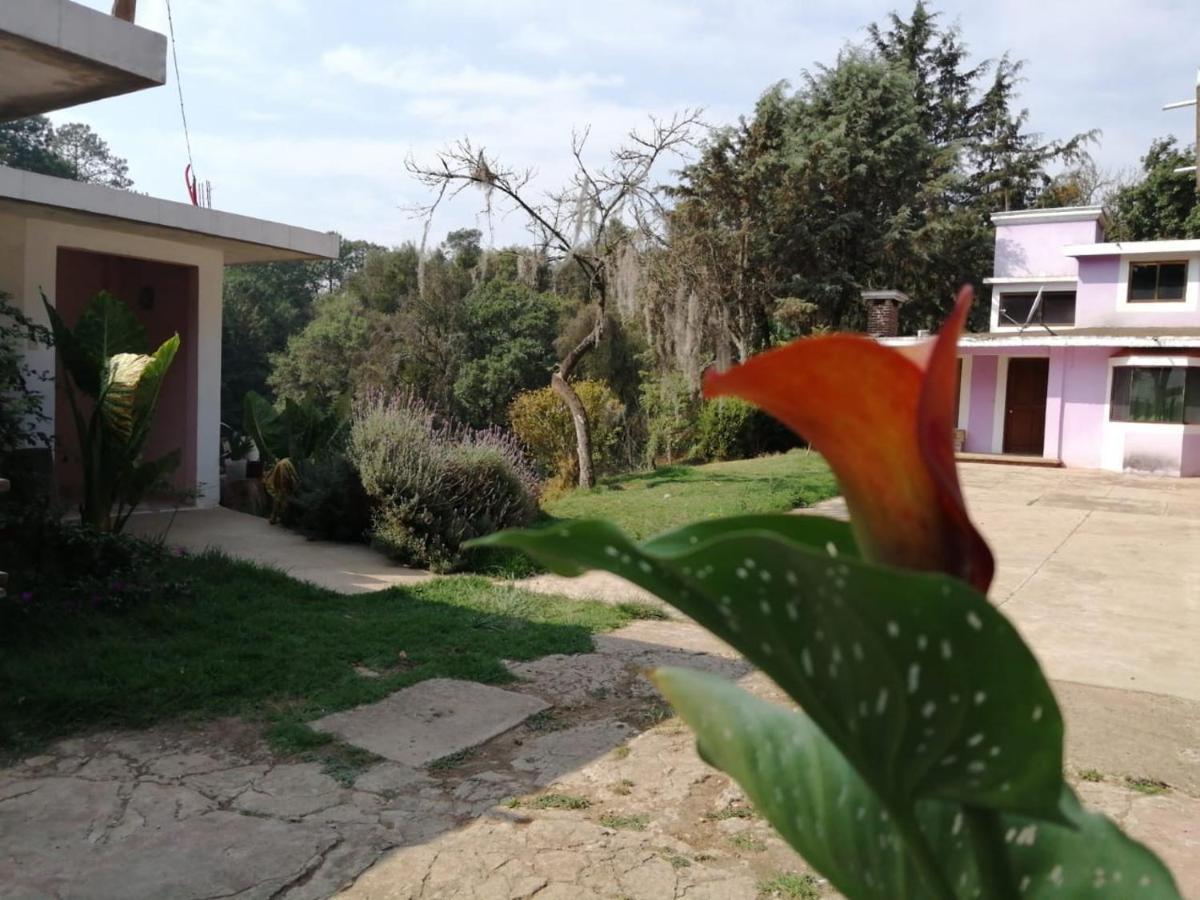 Hotel Bosques Zacatlán Εξωτερικό φωτογραφία